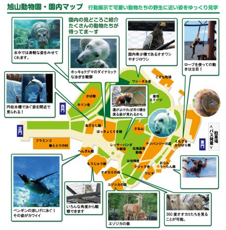 旭山動物園・園内マップ