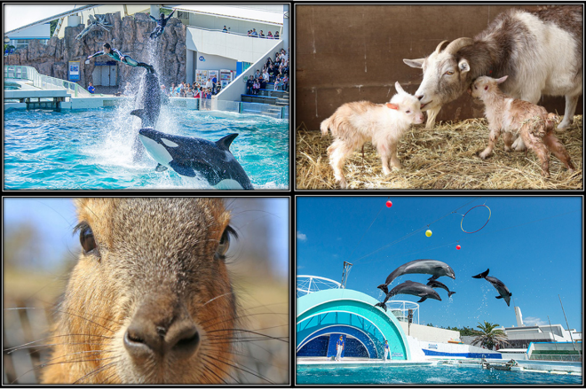 テーマパーク 東京発 新宿発 横浜発 北海道発の人気のバスツアー満載 バスツアーjp