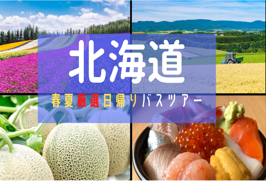 東京発 新宿発 横浜発 北海道発の人気のバスツアー満載 バスツアーjp
